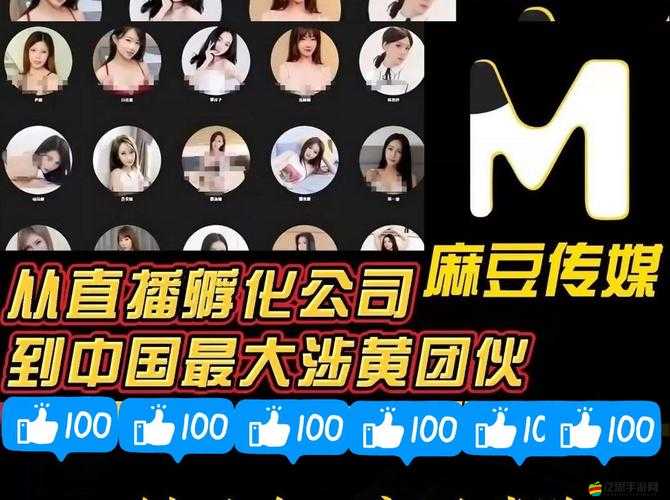 麻花豆傳媒在線MV免費版特色：超多精彩音樂視頻等你來欣賞