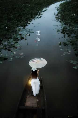 老人船上弄雨荷第十二集跚鋼：一段充滿奇幻色彩的獨特故事