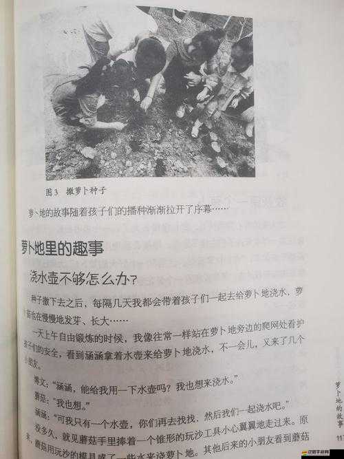 拔蘿卜不蓋被子：探尋背后隱藏的童真趣事與生活哲理