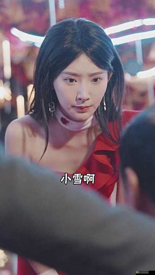 啵樂官方網頁：提供精彩內容與優質服務的最佳平臺