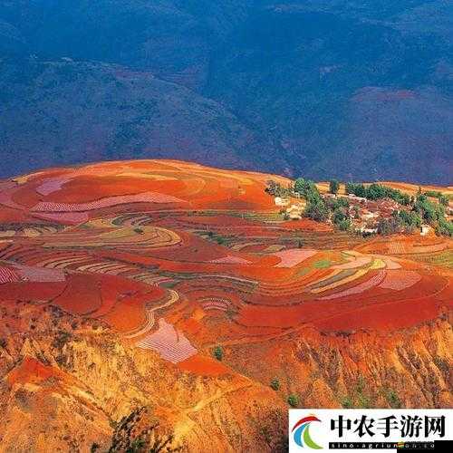 校園綁定 JY 收集系統宋涵之在校園中開啟奇妙冒險之旅