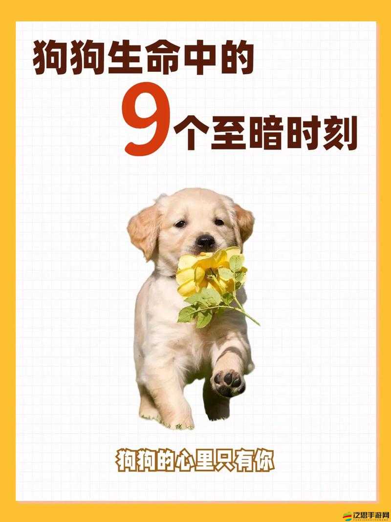 ZOOM 大狗：改變世界的科技力量