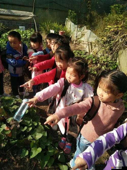 雛鳥幼兒張婉瑩的成長故事與點滴記錄