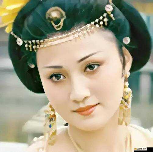 大型歷史傳奇電視劇唐明皇主要演員：楊貴妃——林芳兵