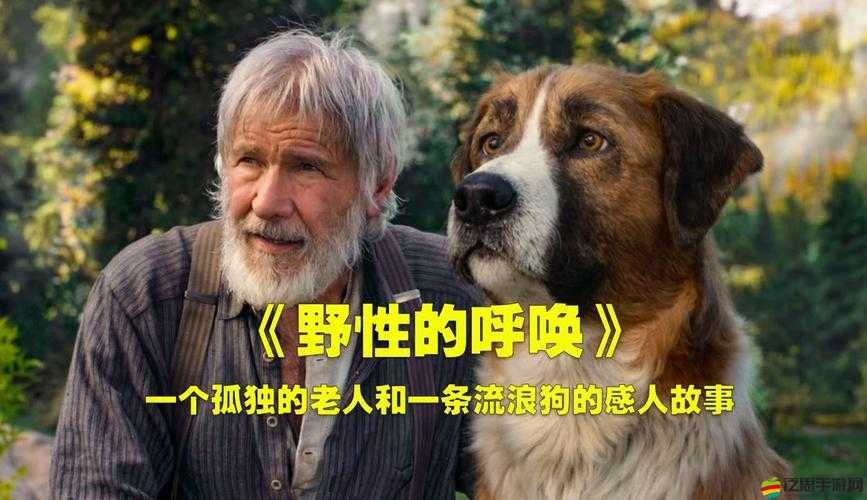 女人戴上項(xiàng)鏈后離奇變身成狗的奇幻故事