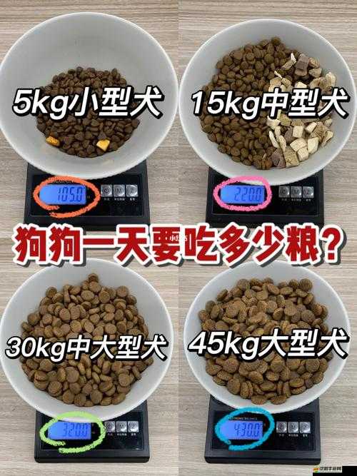 人狗膠配方大全：狗狗一天吃多少才健康