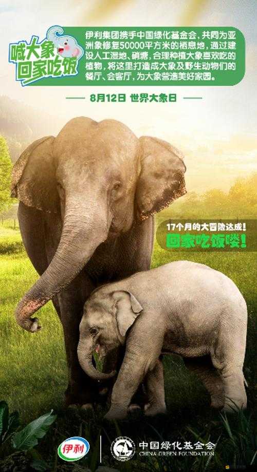 大象回家視頻永不迷路 2024 蘑菇：探尋奇妙歸家之旅