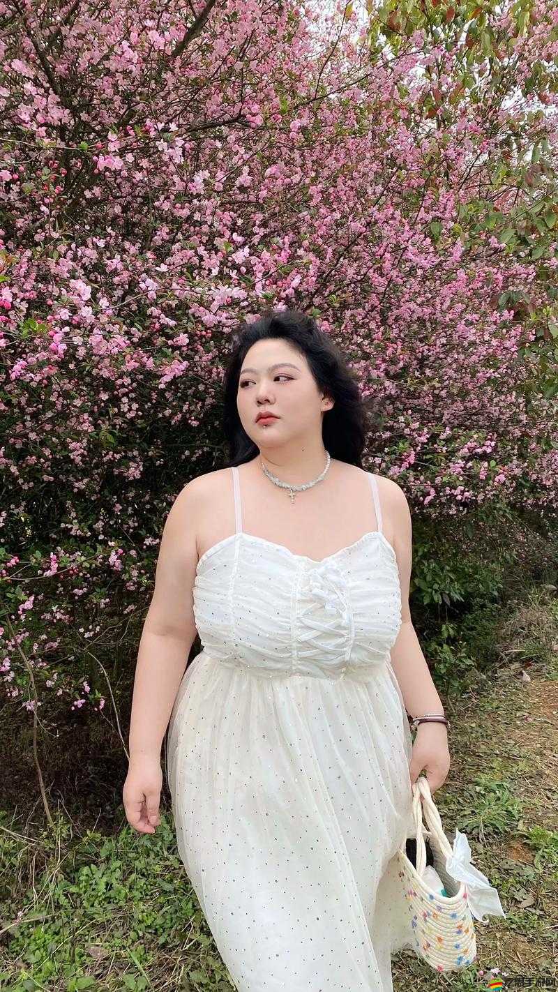四川老婦女 BBwBBw：一位見證時代變遷的普通農村女性
