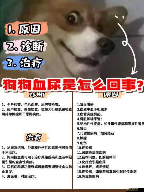 sb 是不是又欠 cjb 這究竟是怎么回事呢