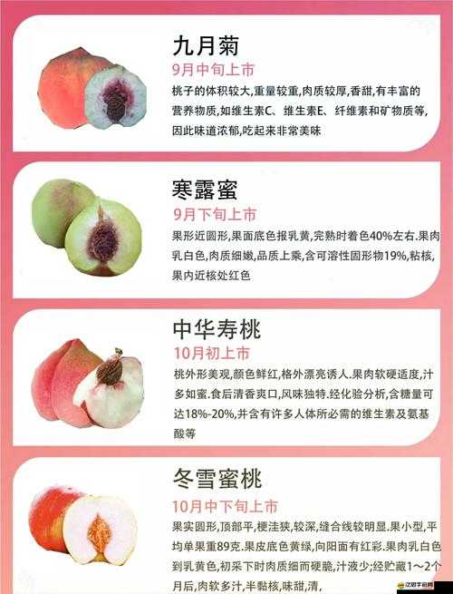 無一二三四蜜桃：探索獨特美味與甜蜜的奇妙之旅