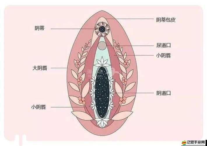 粉嫩虎白女小泬高潮視頻：極致刺激的美妙體驗