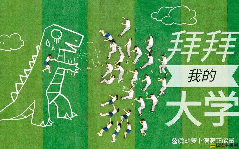 ACCA 少女 SDANVI 大學(xué)：開啟夢想與成長的精彩之旅