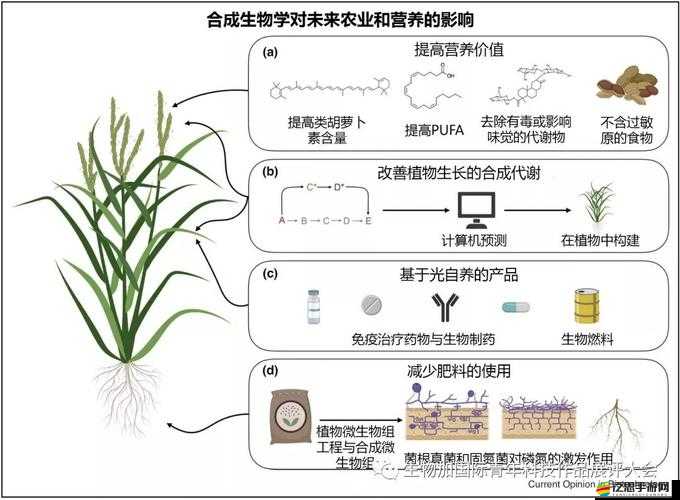 Porin141516 在生物領域的重要作用及相關研究探討