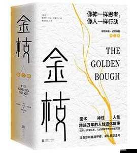 亞洲刮倫：一場跨越文化與地域的人性挑戰