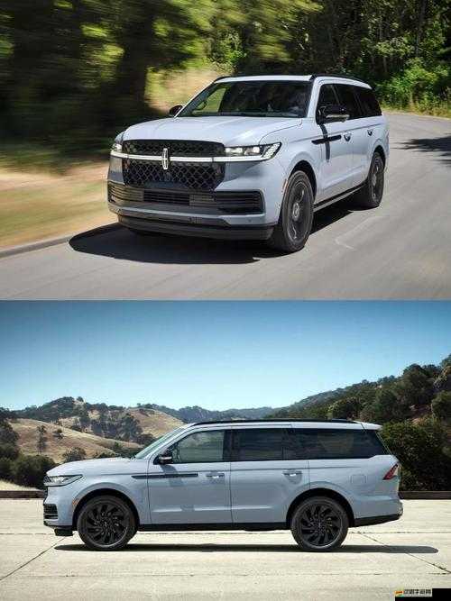 深度探究歐美大尺寸 SUV 未來發(fā)展趨勢與前景