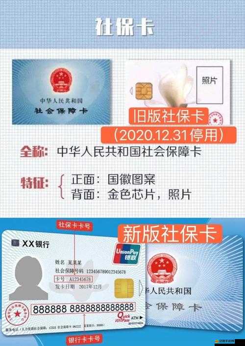 卡 1 與卡 2 究竟有無區別：深入探究差異所在