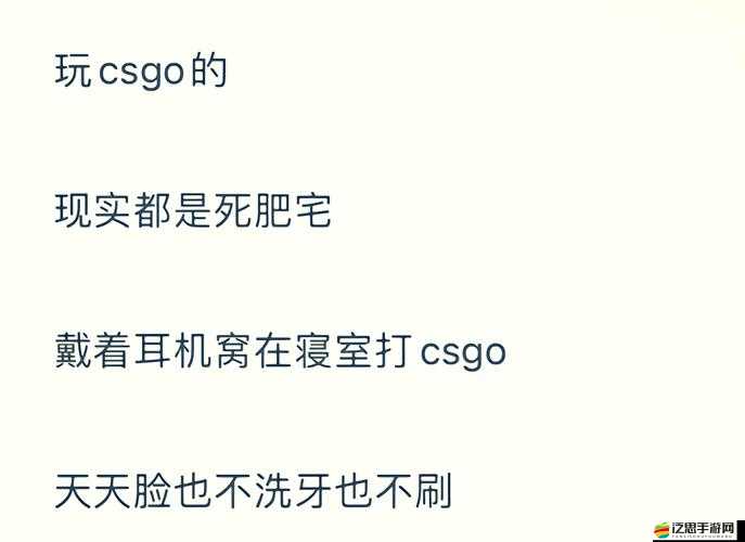 探秘暴躁老阿姨CSGO：深度解析其游戲世界的獨特魅力