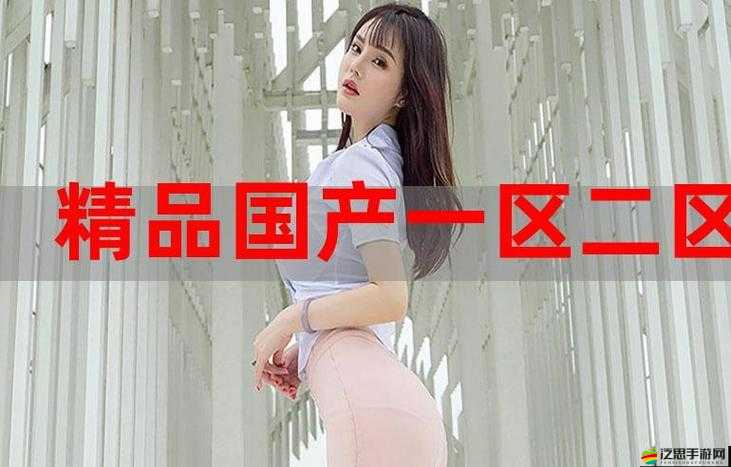 海角精產國品一二三區別大揭秘：為何它們如此受歡迎