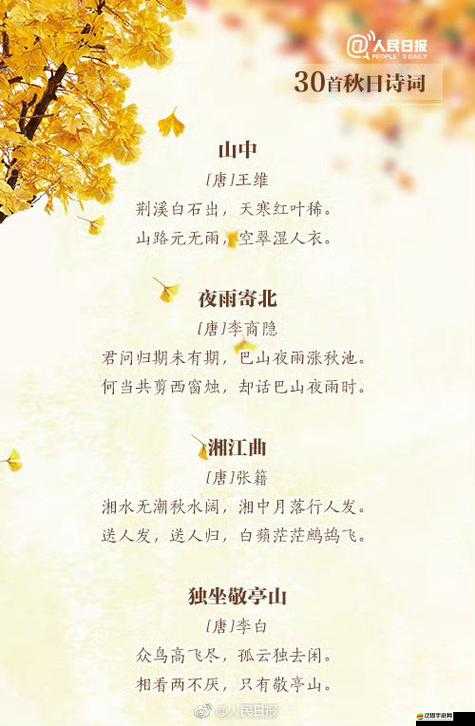亭亭玉立國色天香九月天：秋意漸濃時的絕美風華畫卷