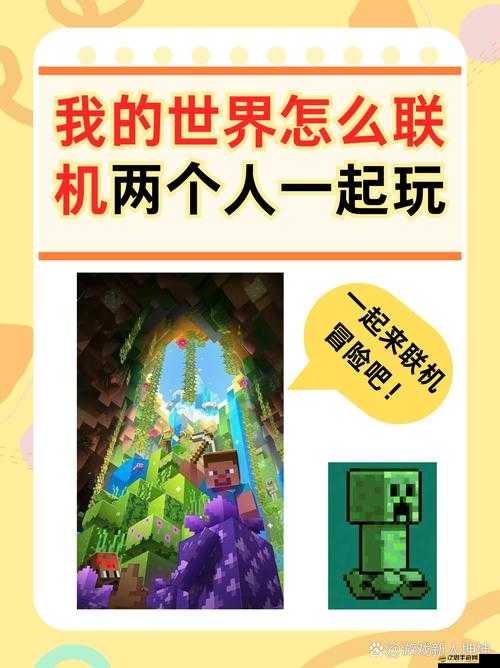 在 31998.ooo 的世界里探索無限可能