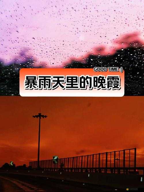 抽動白漿那令人著迷的奇妙景象與感受