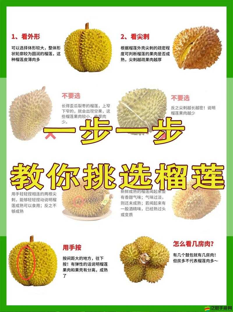 教你如何挑選優(yōu)質(zhì)榴蓮：lll999 榴蓮視頻攻略