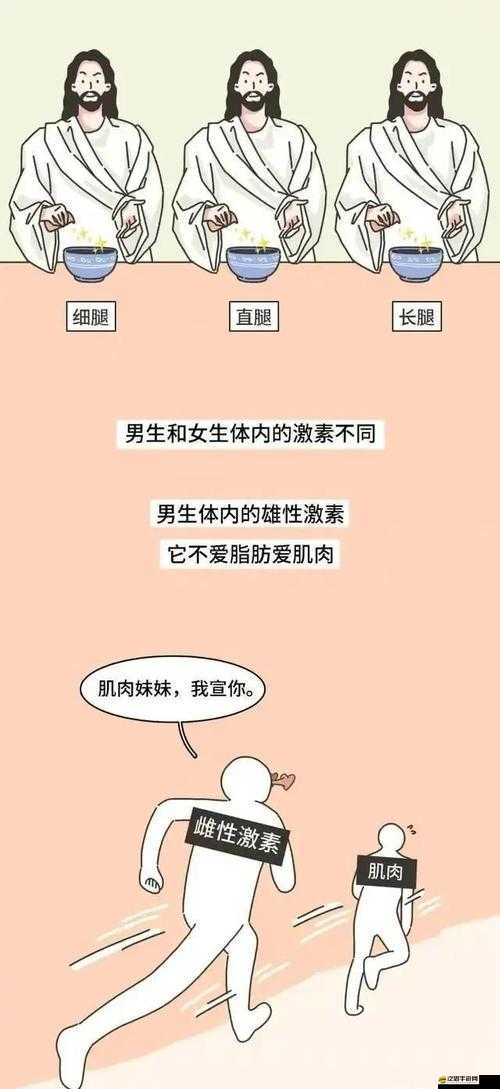 腿分太開會不緊嗎：深入探討此問題的關鍵影響因素