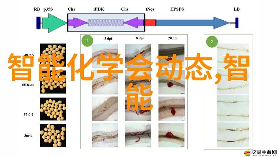 你看你奶奶啵啵那么大是什么歌網傳將翻拍引發(fā)網友熱議