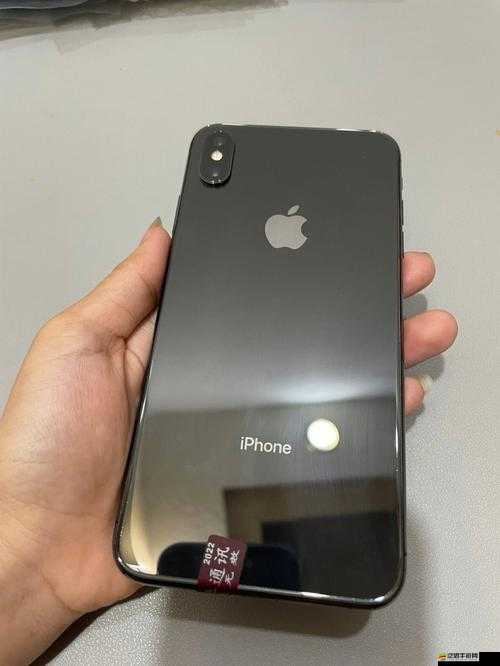 戰(zhàn)術(shù)指導(dǎo)探索歐美 iPhonexsMax 視頻：帶你深入了解其相關(guān)內(nèi)容與細(xì)節(jié)