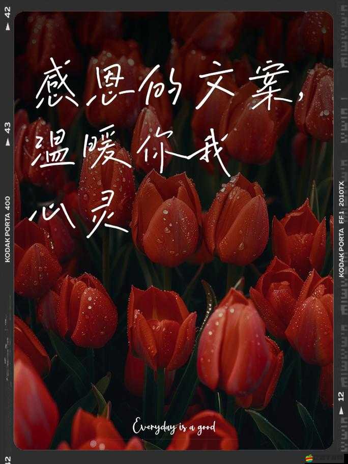 當你牽著我的手那一刻，那溫暖的力量與永恒的陪伴