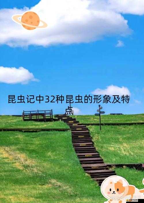 三葉草 gw9356 ：探索其獨特魅力與潛在價值的奧秘之旅