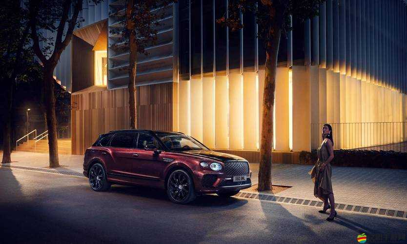 國產 SUV 精品一區二色老頭：匠心打造的高品質座駕
