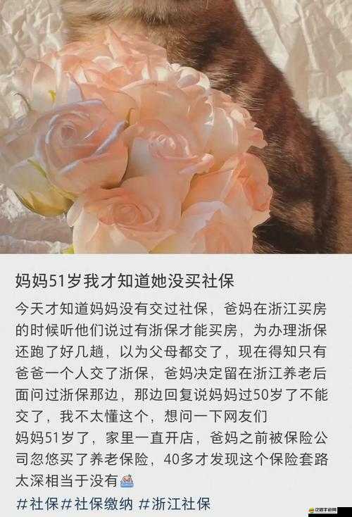國精產品一二二線：精心打造優質多樣產品滿足不同需求層級