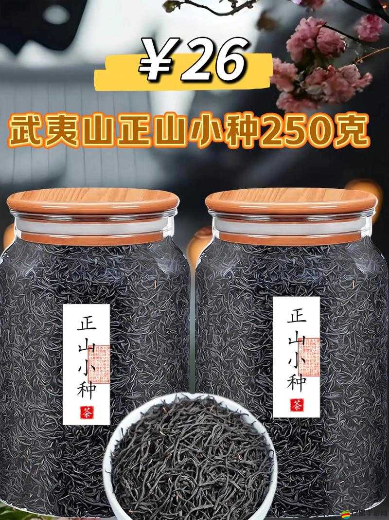 本茶綱目深度解讀，探索正山小種紅茶的獨特魅力與品質