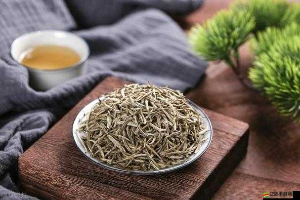 本茶綱目深度解讀，探尋霍山黃大茶的傳統名茶獨特韻味與魅力