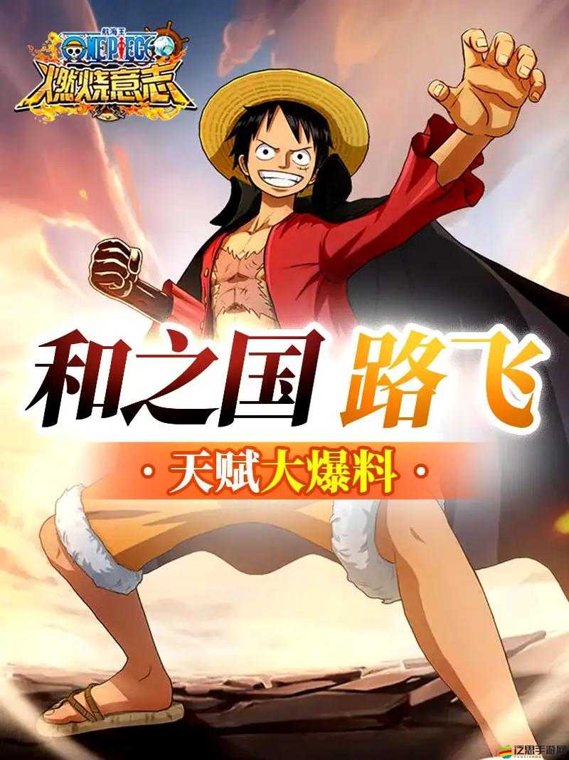 航海王，燃燒意志角色傳記篇——深入偉大航道，揭秘勇者之魂的傳奇之旅