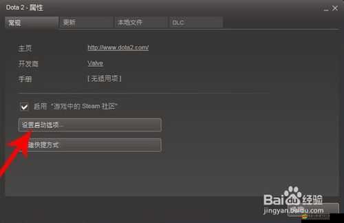 DOTA2國服啟動項設置方法全面解析，助你輕松優化游戲體驗