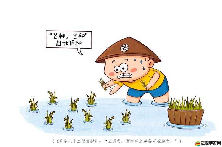 耕種姐姐肥沃的土地：探索神秘農耕背后的故事與情感