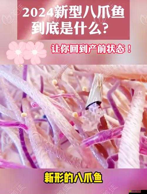 八爪魚緊縮術(shù)：探索其獨特魅力與應(yīng)用價值