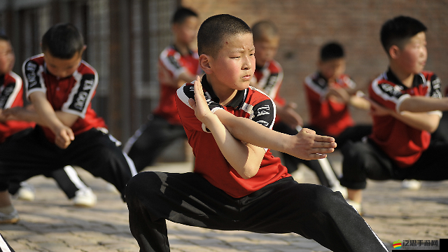 中國武術強度排行：探尋武術巔峰之路