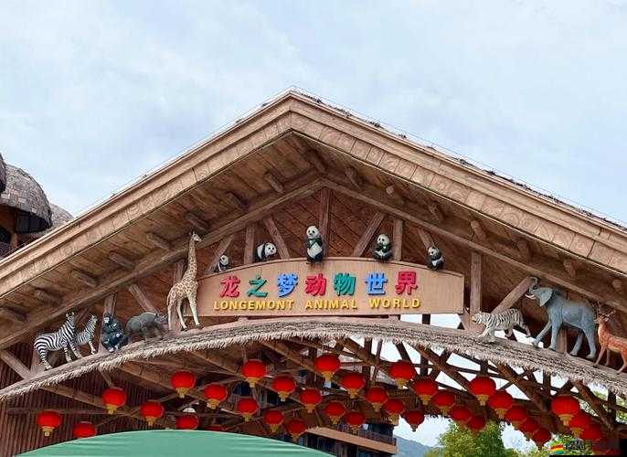 探索動(dòng)物朋友展覽區(qū)游樂園S，解鎖高分路線的奇妙冒險(xiǎn)與發(fā)現(xiàn)之旅