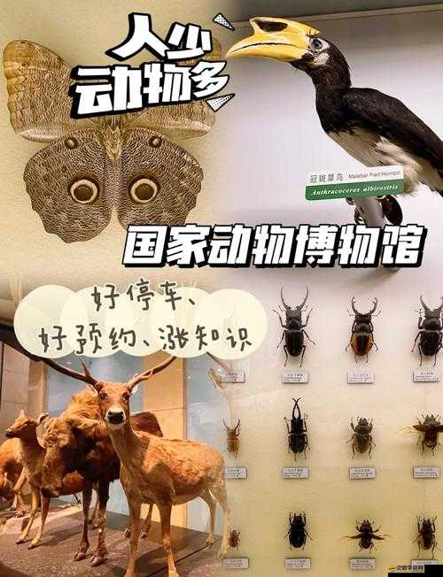 探索動物朋友展覽區，珍稀與獨特動物種類全面一覽