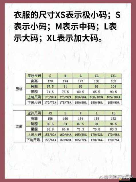 四葉草 M 碼和歐洲碼的區別：尺碼標準的差異