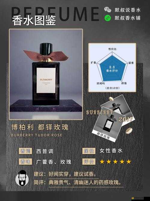 揭秘歷史上需要守護的都鐸玫瑰，權力、愛情與家族榮耀的交織傳奇
