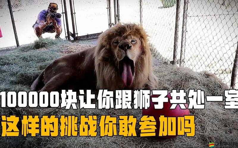 寶寶乖乖洗頭：爸爸免費(fèi)服務(wù)，你敢來(lái)挑戰(zhàn)嗎？