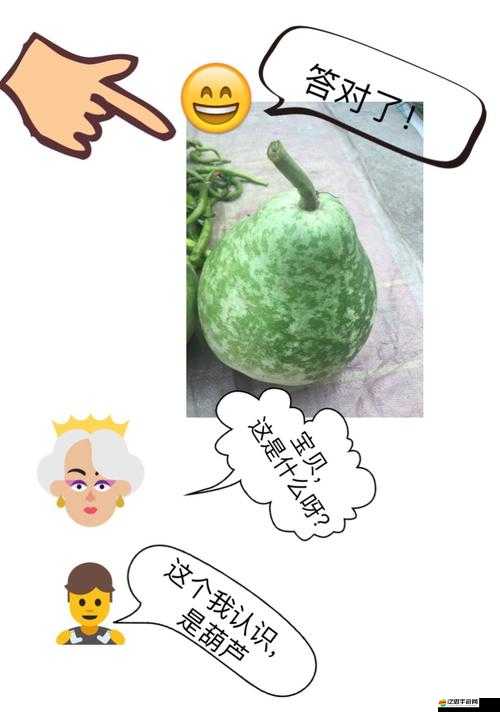 熊孩子蔬菜流攻略，蔬菜路線卡組構建與推薦玩法深度解析