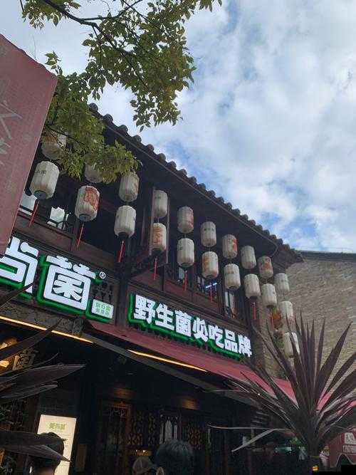 三秋食肆，踏上一場融合古風韻味與美食經營的奇妙旅程