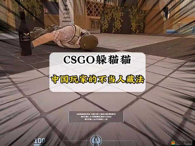 CSGO國服躲貓貓模式，探索創意工坊帶來的奇妙游戲之旅