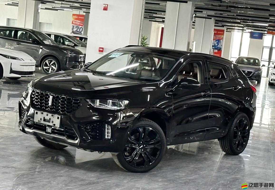 weyvv5 國產的 suv 視頻展示：全方位展現國產 SUV 魅力風采