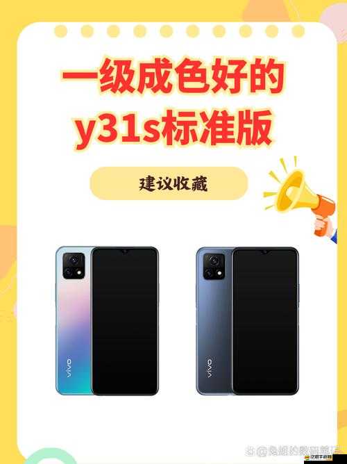 深度解析：成色好的 Y31 為何如此受歡迎？